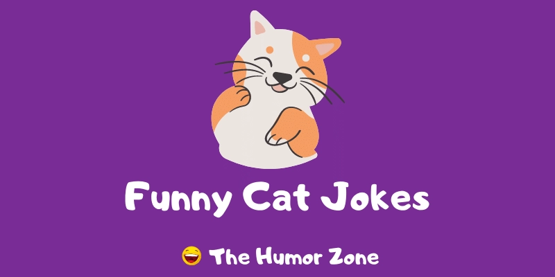 Featured image for a page of funny cat jokes and puns.
