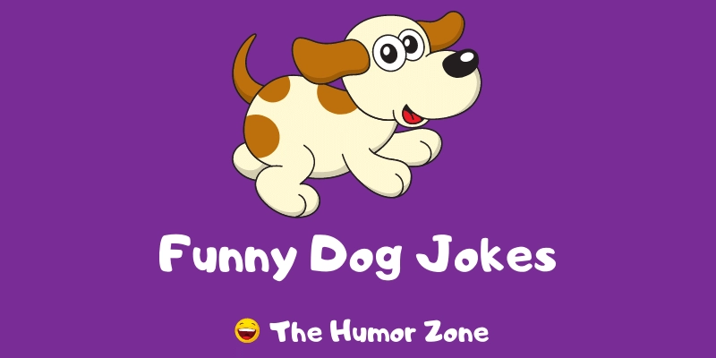 Featured image for a page of funny dog jokes and puns.