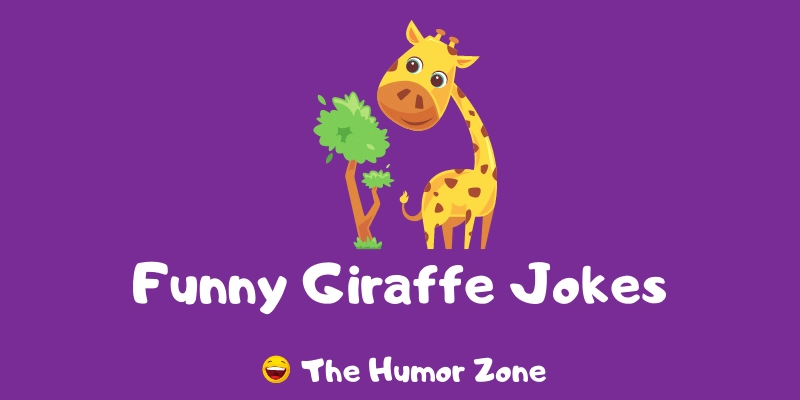 Featured image for a page of funny giraffe jokes and puns.
