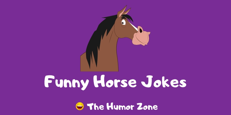 Featured image for a page of funny horse jokes and puns.
