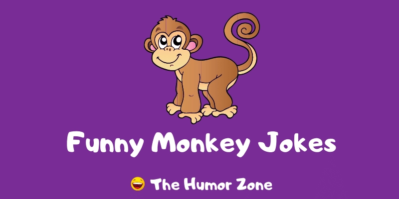 Featured image for a page of funny monkey jokes and puns.