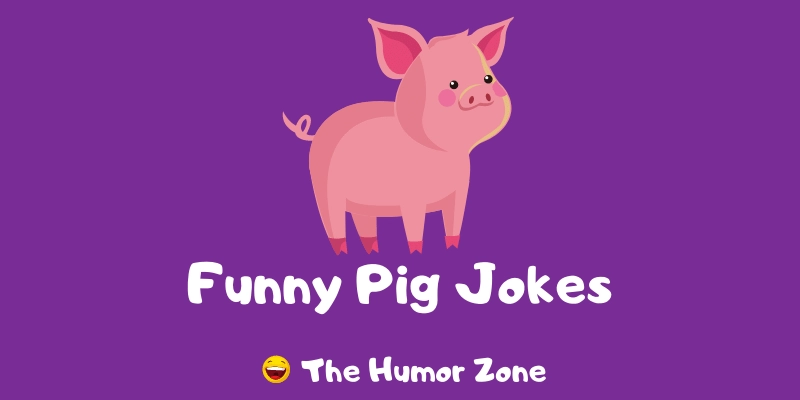 Featured image for a page of funny pig jokes and puns.