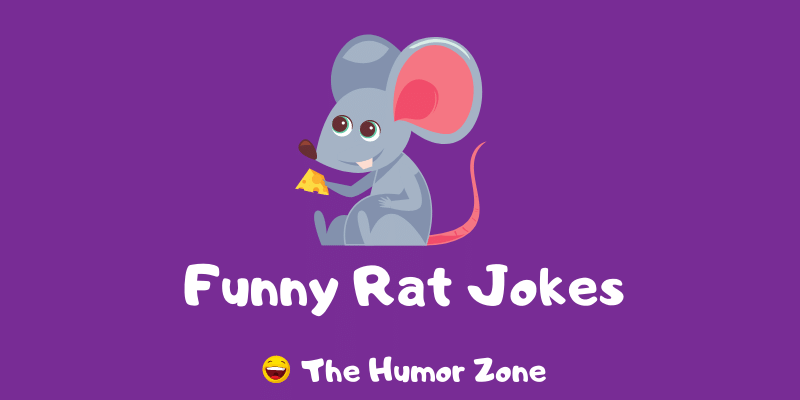 Featured image for a page of funny rat jokes and puns.