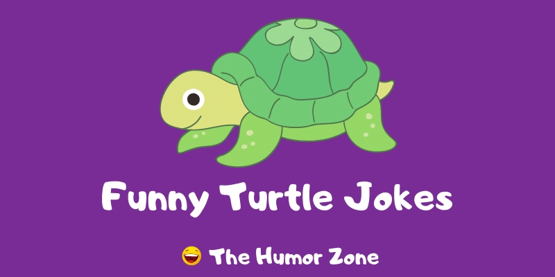 Featured image for a page of funny turtle jokes and puns.