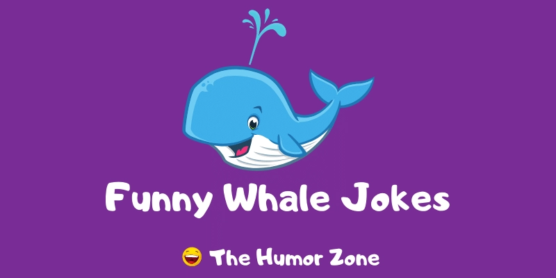 Featured image for a page of funny whale jokes and puns.