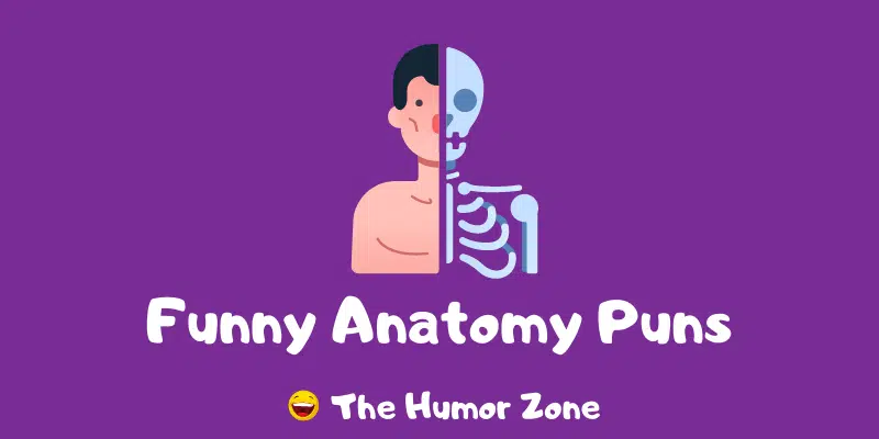 Featured image for a page of anatomy puns.