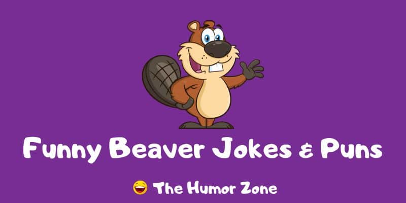 Featured image for a page of beaver jokes and puns.