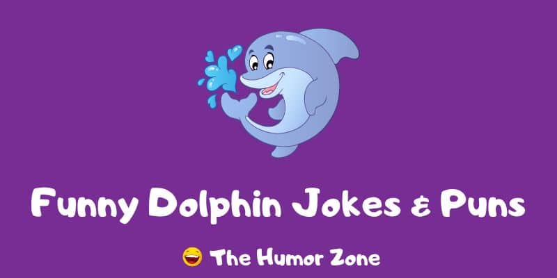 Featured image for a page of dolphin jokes and puns.