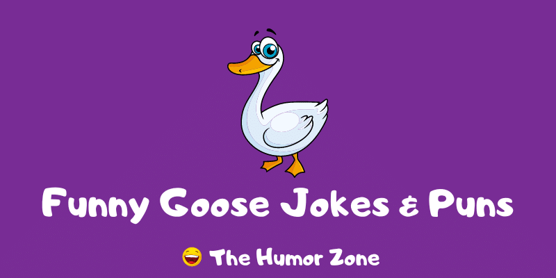 Featured image for a page of goose jokes and puns.