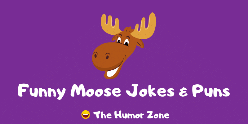 Featured image for a page of moose jokes and puns.